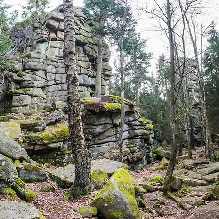 Hébergement de vacances Bergwaldchalet Wellness 5 *