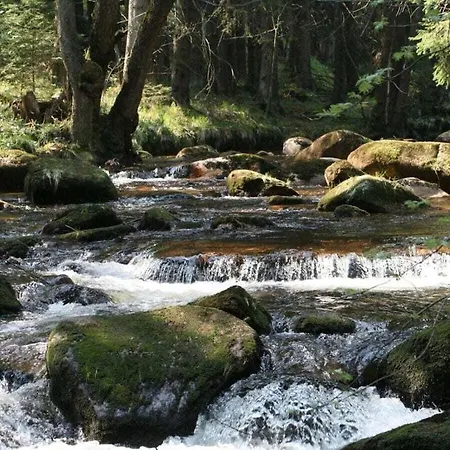 Hébergement de vacances Bergwaldchalet Wellness 5 *