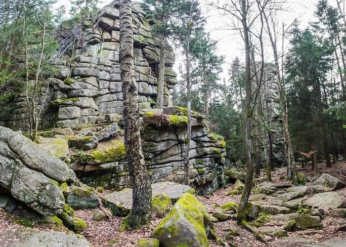 Dom wakacyjny Bergwaldchalet Wellness 5 *