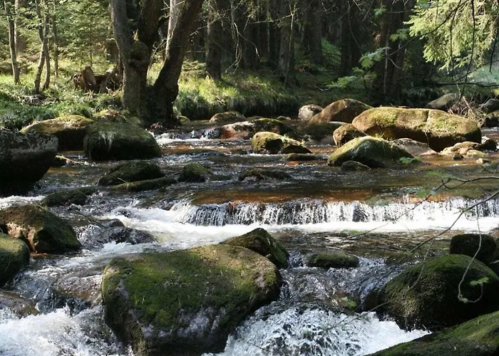 Dom wakacyjny Bergwaldchalet Wellness 5 *